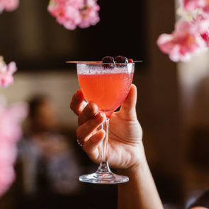 Jasper_Ave_The_Rook_Cherry_Blossom-60